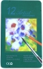 Akvarellipliiatsite komplekt "Renesans" 12tk kõrge kvaliteet + pintsel