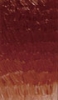 306 Akrüülvärv "Phoenix" 75ml Punane hele