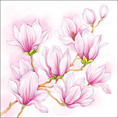 Салфетка для декупажа 13307515 33 x 33 cm NICE MAGNOLIA ― VIP Office HobbyART