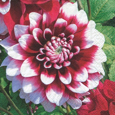 Салфетка для декупажа 21998 33 x 33 cm Dahlia ― VIP Office HobbyART