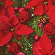 Салфетка для декупажа - 33 x 33 cm Poinsettia with Fir ― VIP Office HobbyART