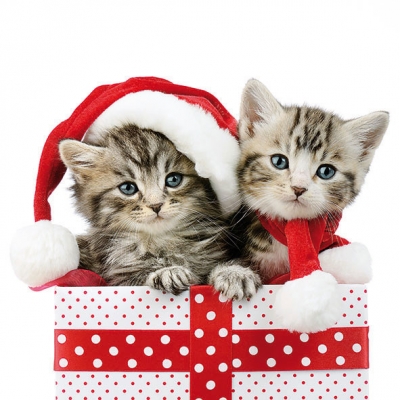 Салфетка для декупажа 33304320 33 x 33 cm CHRISTMAS KITTEN  ― VIP Office HobbyART