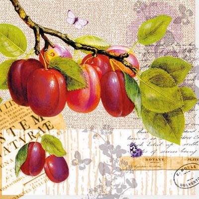 Салфетка для декупажа NV-74519 33 x 33 cm Botany Plum ― VIP Office HobbyART