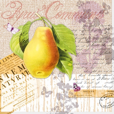 Салфетка для декупажа NV-74521 33 x 33 cm Botany Pear  ― VIP Office HobbyART