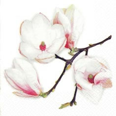 Салфетка для декупажа 367803 33 x 33 cm White Magnolia white ― VIP Office HobbyART