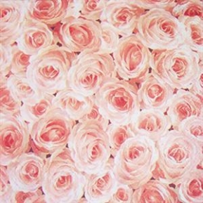 Салфетка для декупажа L-445000 33 x 33 cm ROSE GARDEN ― VIP Office HobbyART