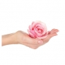 Aroomiõli 50ml, body rose