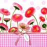 Салфетка для декупажа 340312 33 x 33 cm Daisy & Vichy pink