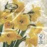 Napkin Yellow Daffodils SDL280000